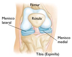 rodilla capio